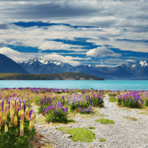 Lake Tekapo New Zealand